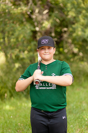 Hayes-4