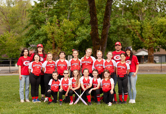 TeamDaveHarris copy
