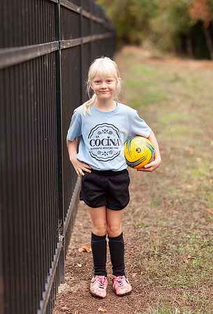 Willow-2