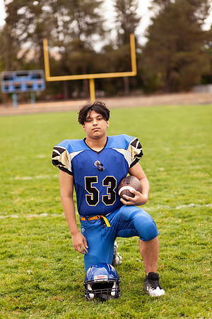 stephen
