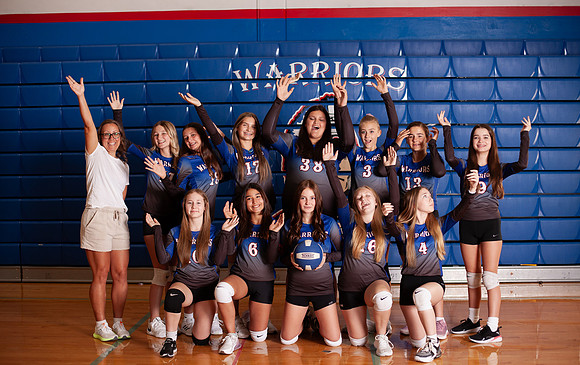 Ateamvolley